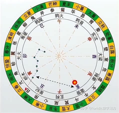 地支合化|地支六合是指什么？八字地支六合详解